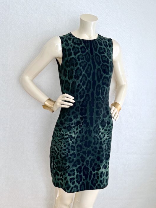 Dolce & Gabbana Animal Print Set (Dress & Cardigan)