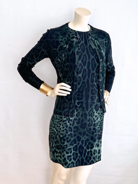 Dolce & Gabbana Animal Print Set (Dress & Cardigan)