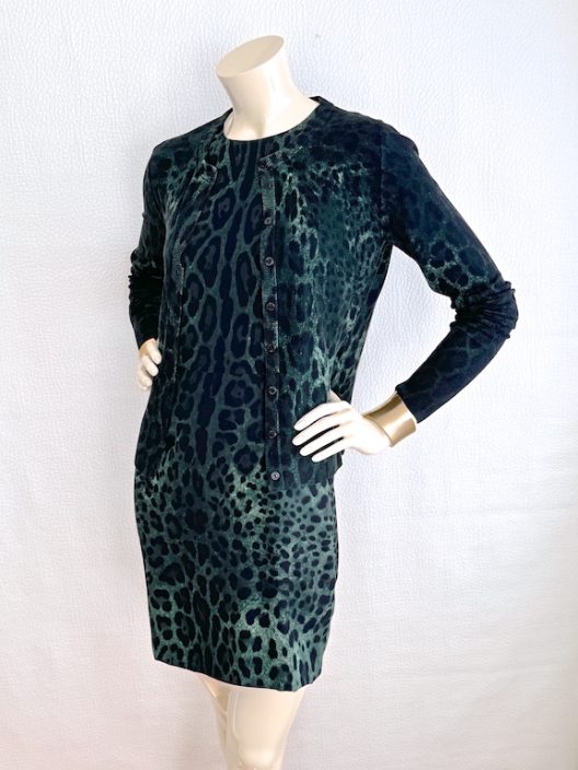 Dolce & Gabbana Animal Print Set (Dress & Cardigan)