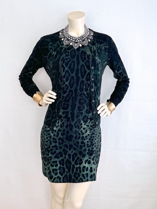 Dolce & Gabbana Animal Print Set (Dress & Cardigan)