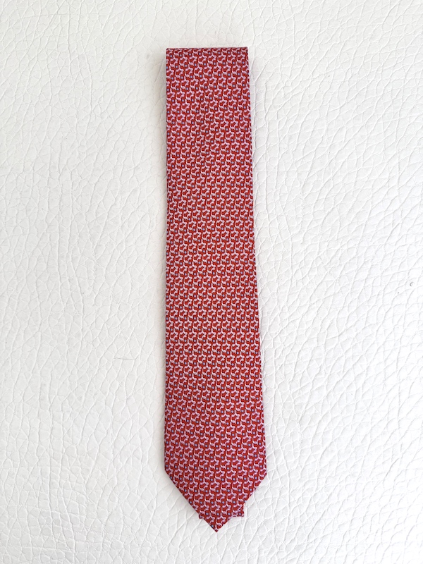 Salavatore Ferragamo Silk Tie